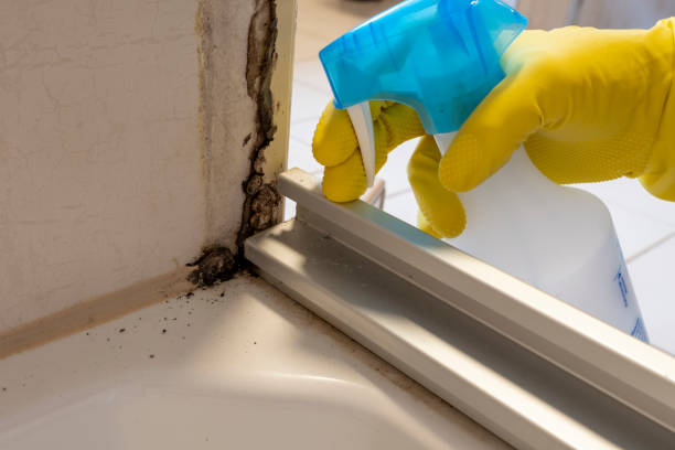 Best Crawl Space Mold Removal  in Wasco, CA