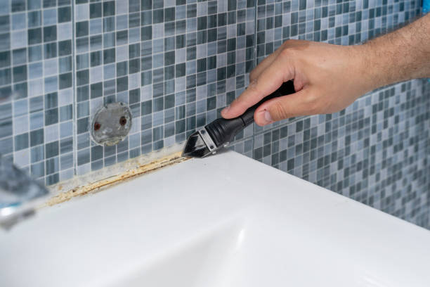 Best Toxic Mold Removal  in Wasco, CA
