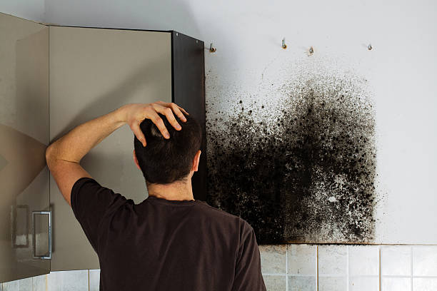 Certified Mold Removal in Wasco, CA
